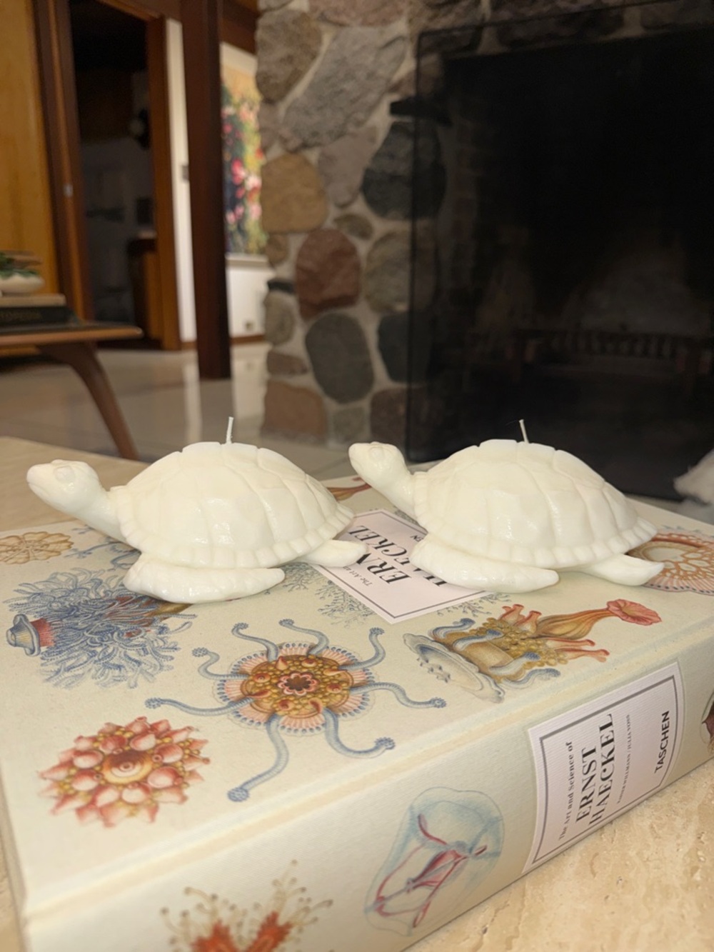 Two white pottery barn turtle decorative candles - Picture 4 of 5